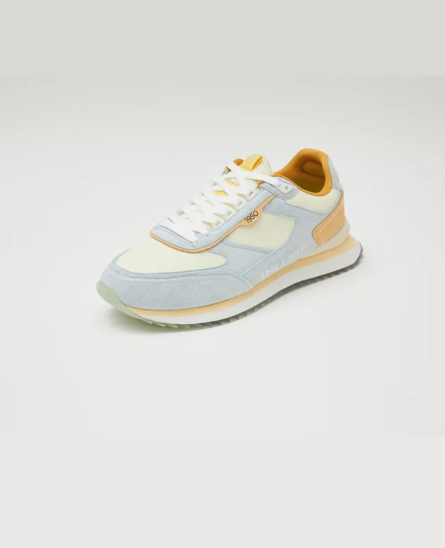 SNEAKER LABRADOR RETRIEVER